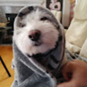 Meet your Posher, Carlos d.